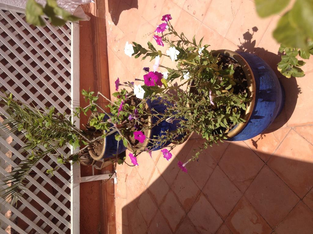 Riad Dar Saba Marrakesz Pokój zdjęcie